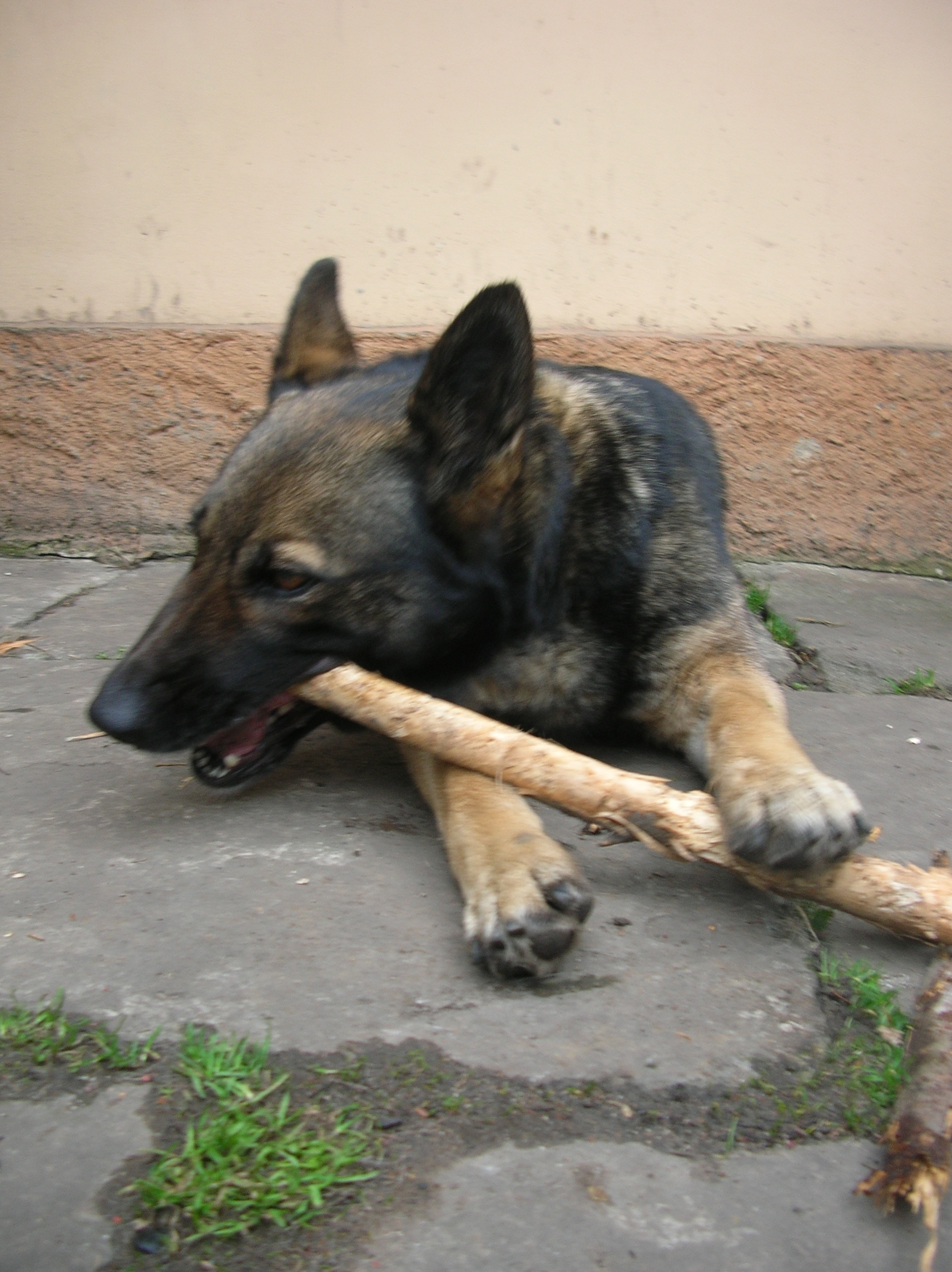 DSCN4961.JPG