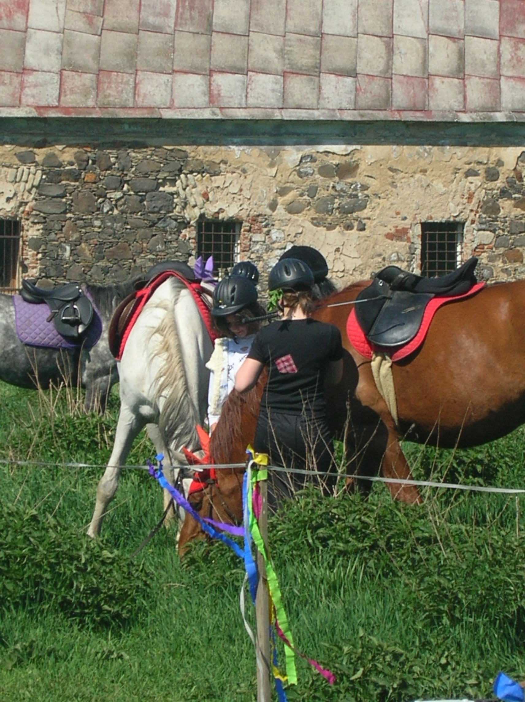 DSCN5542.JPG