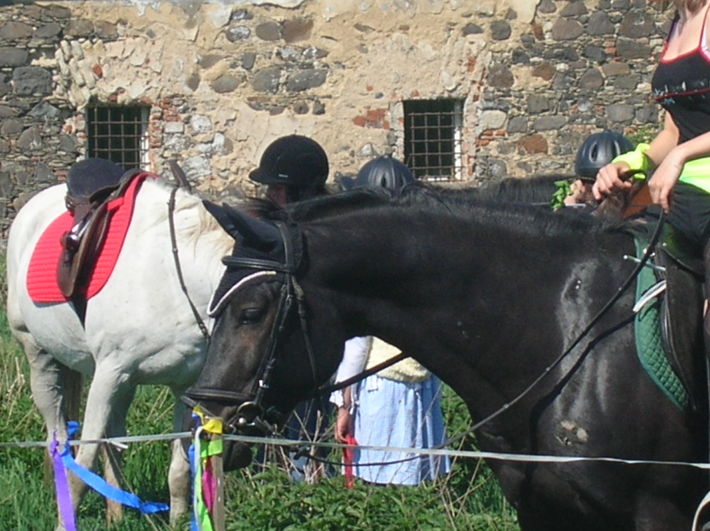 DSCN5543.JPG
