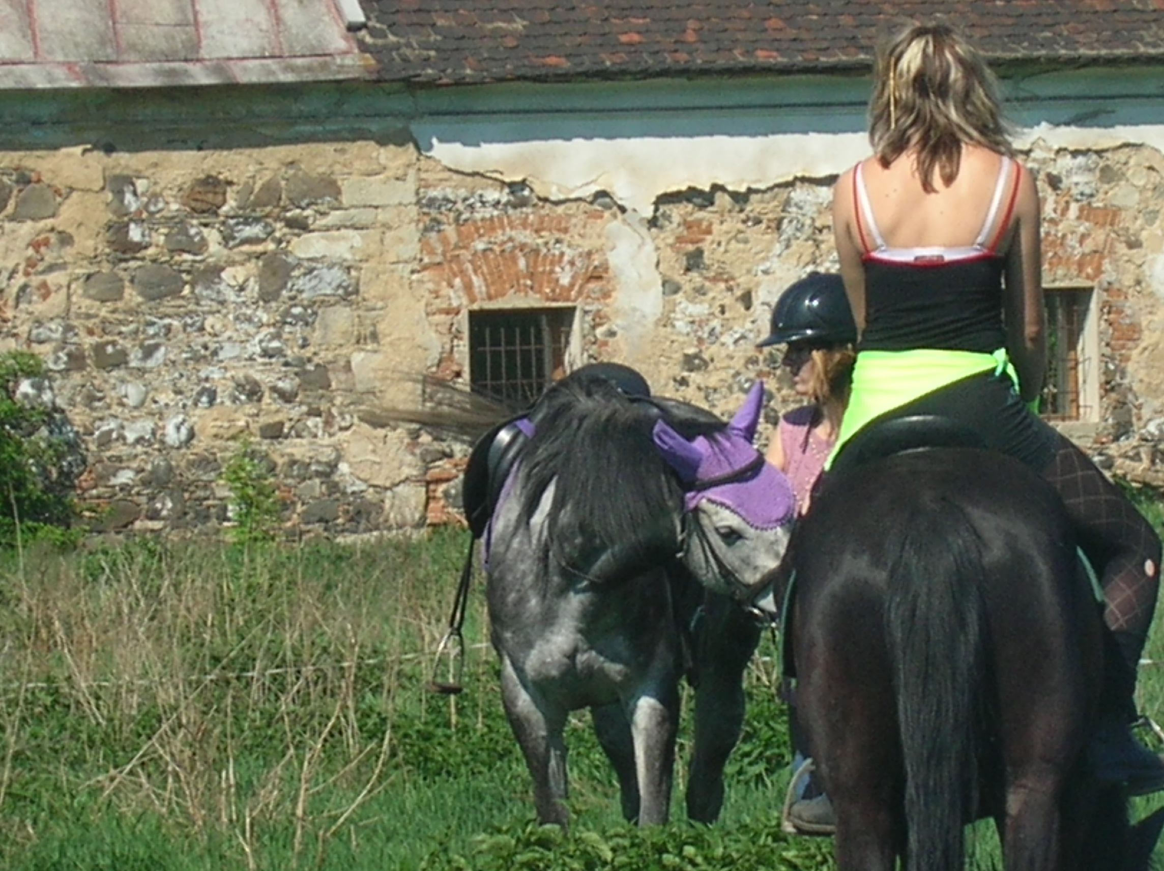 DSCN5545.JPG