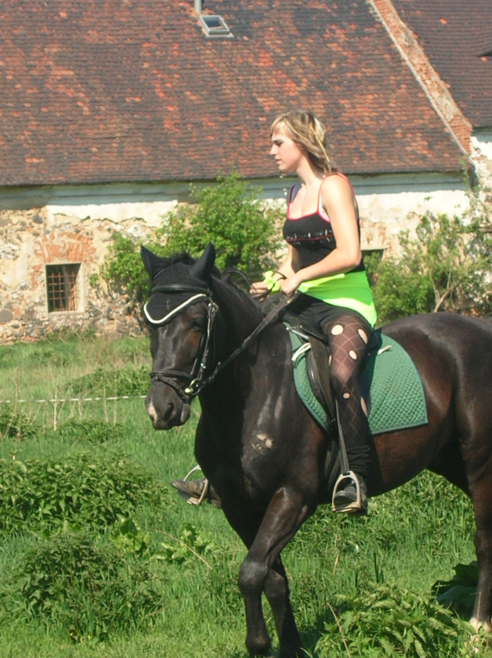 DSCN5547.JPG