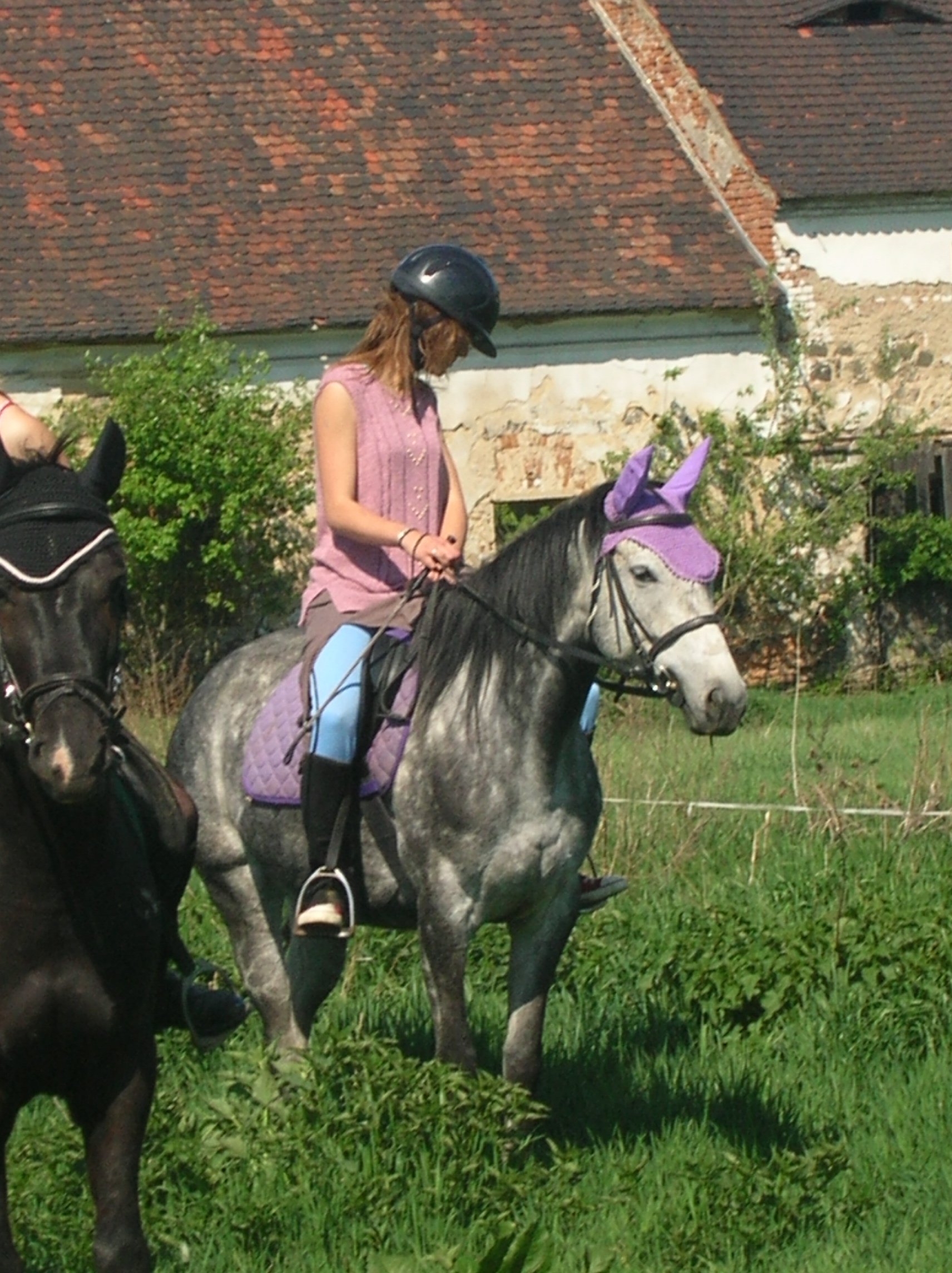 DSCN5550.JPG