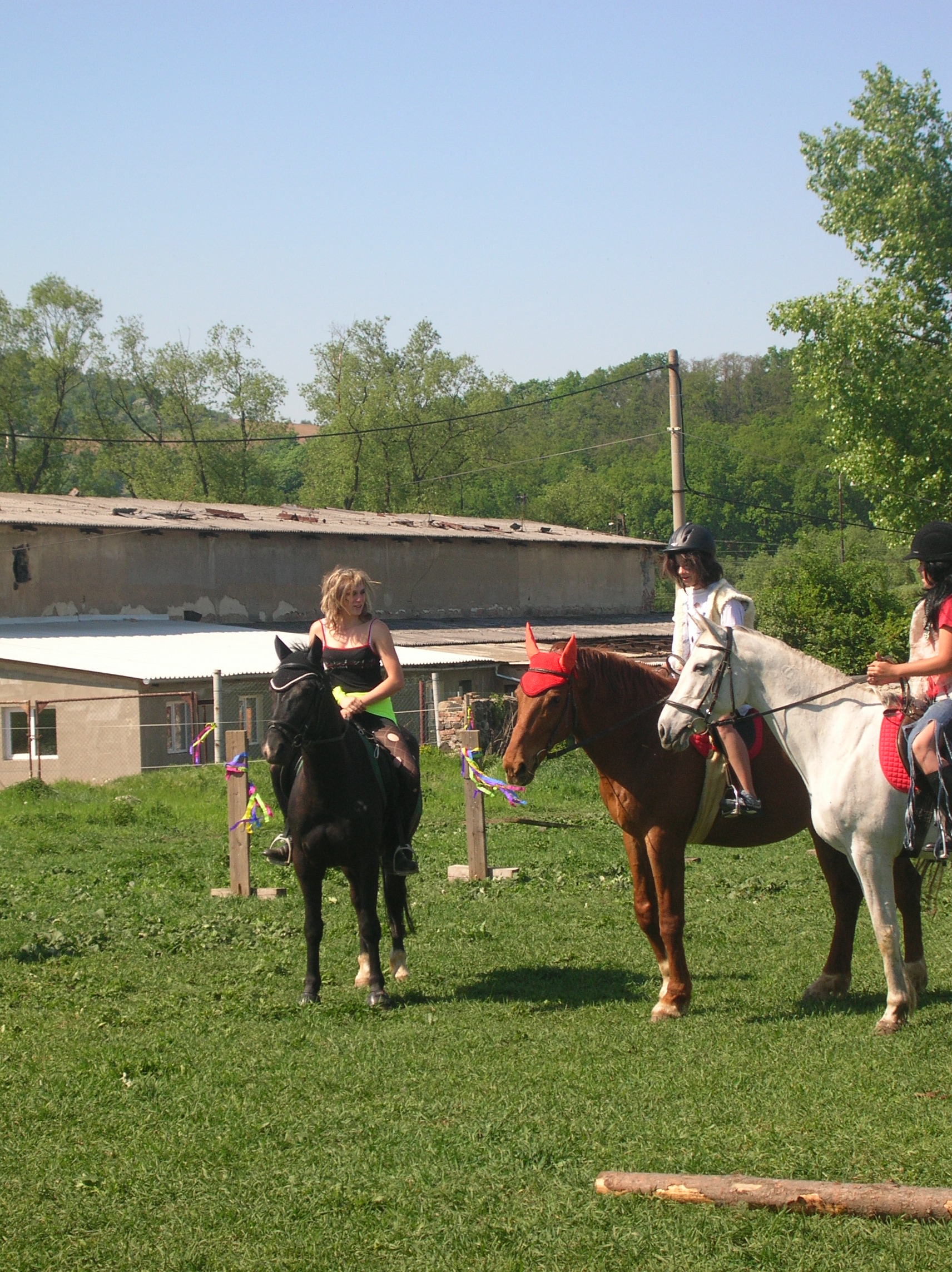 DSCN5555.JPG