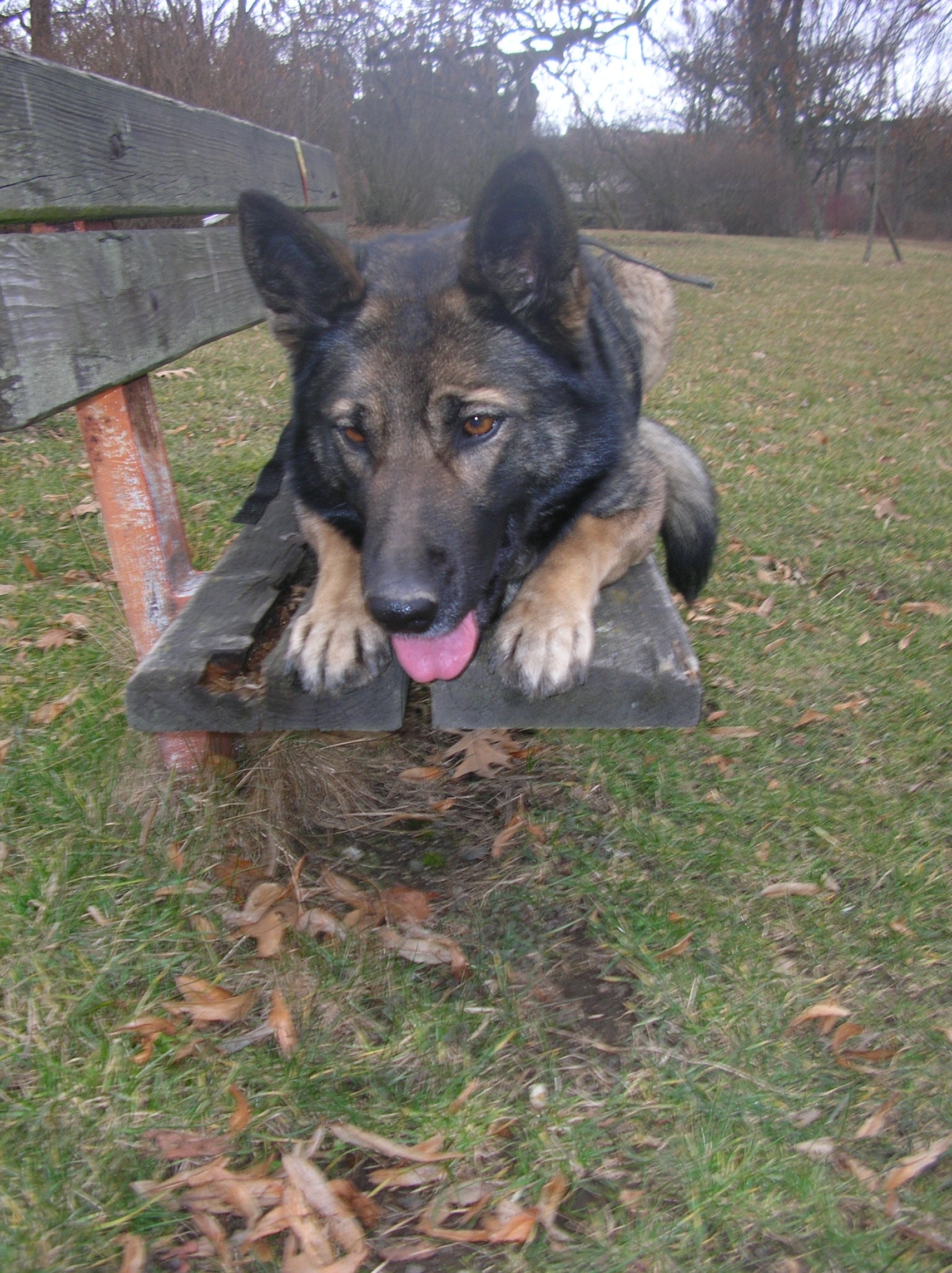 DSCN4934.jpg