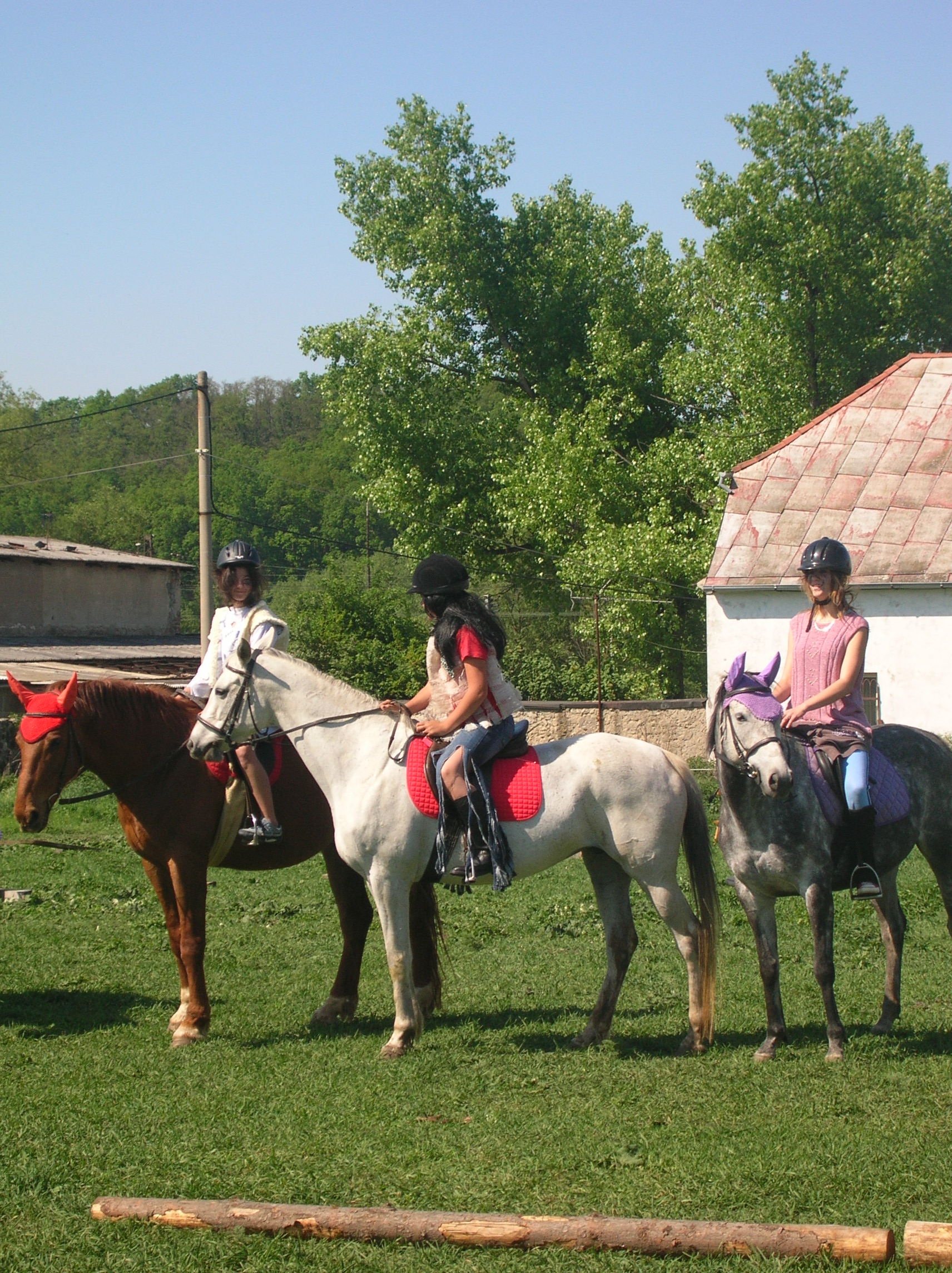 DSCN5556.JPG