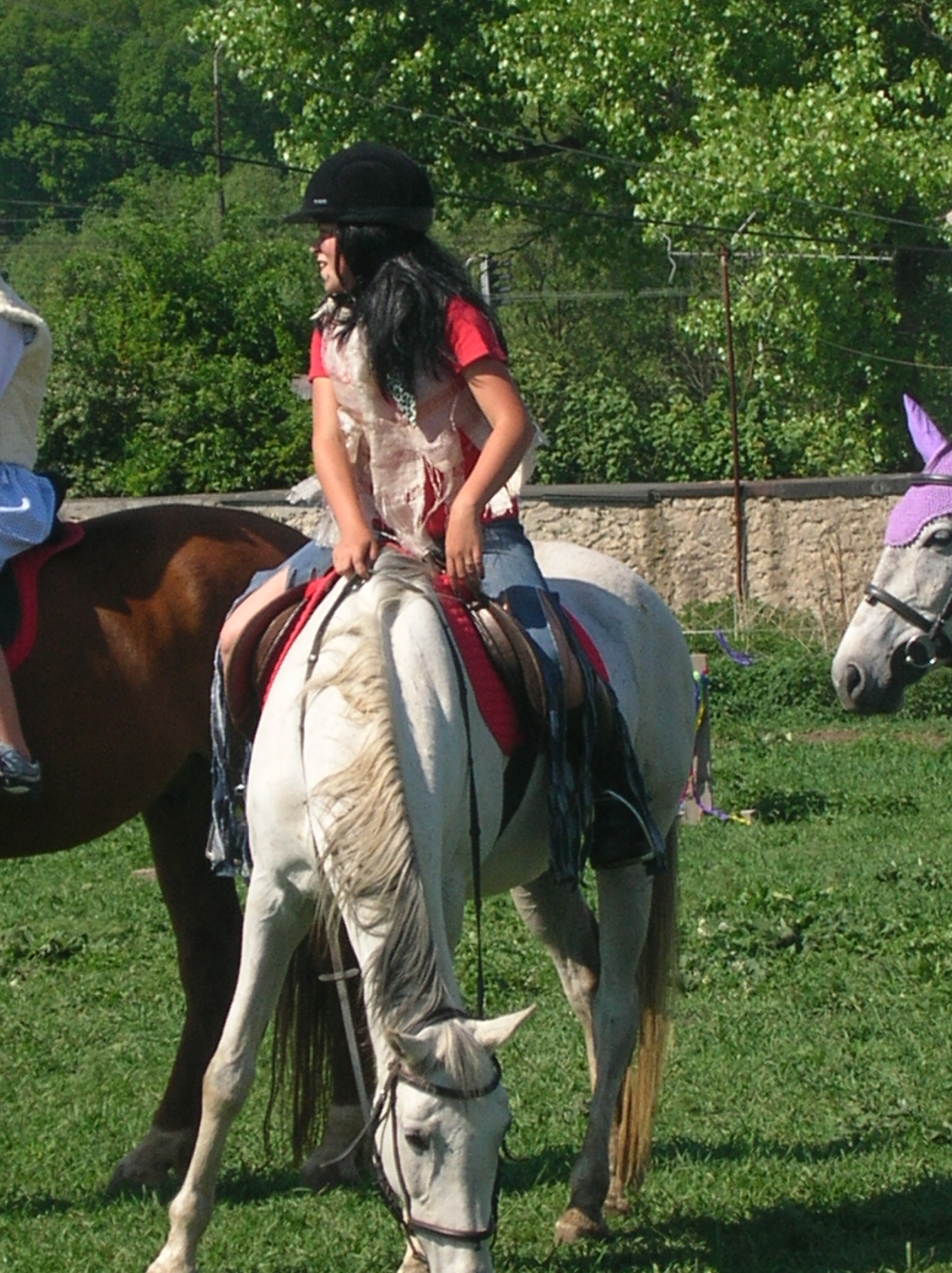 DSCN5558.JPG
