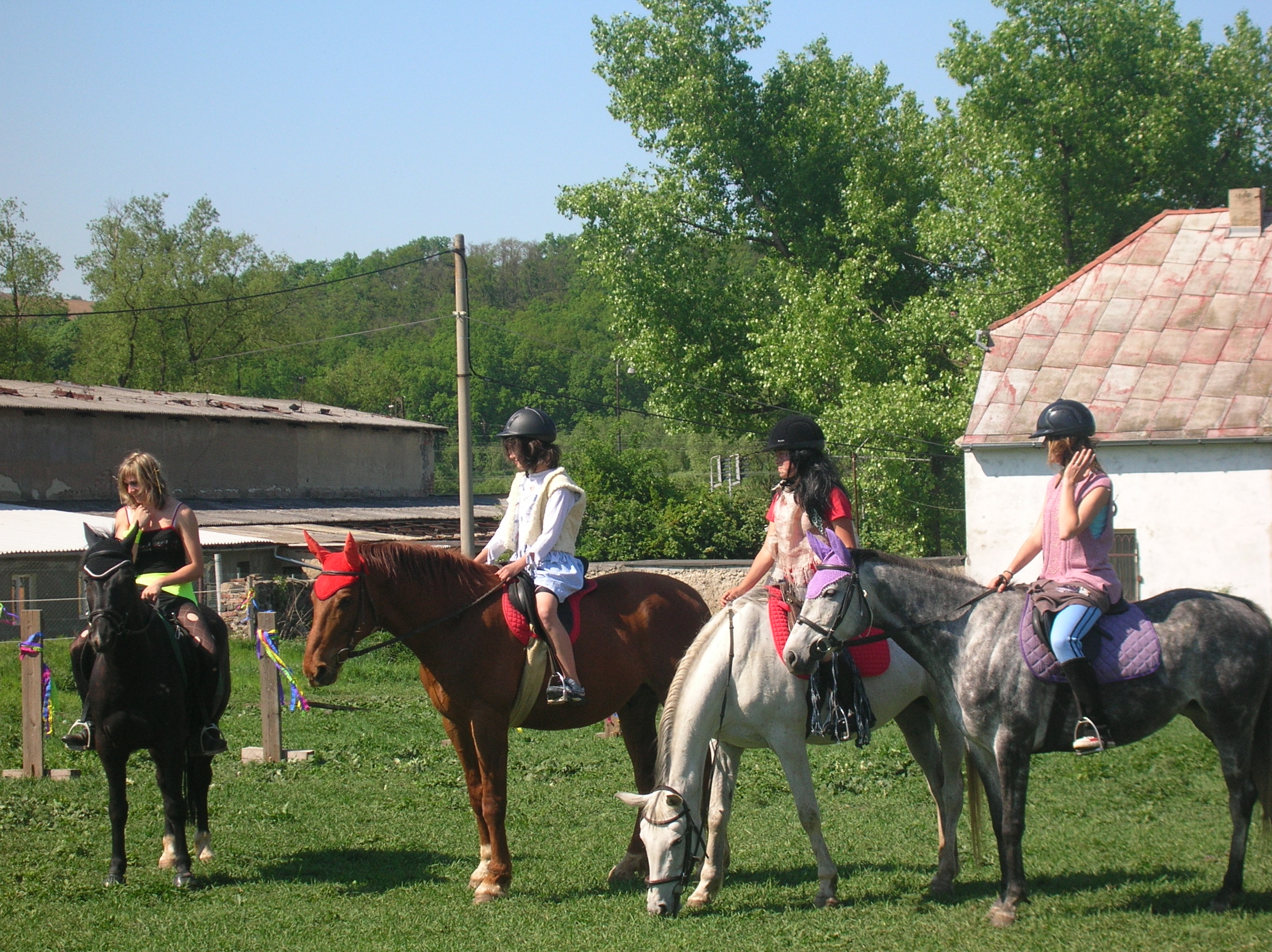 DSCN5560.JPG