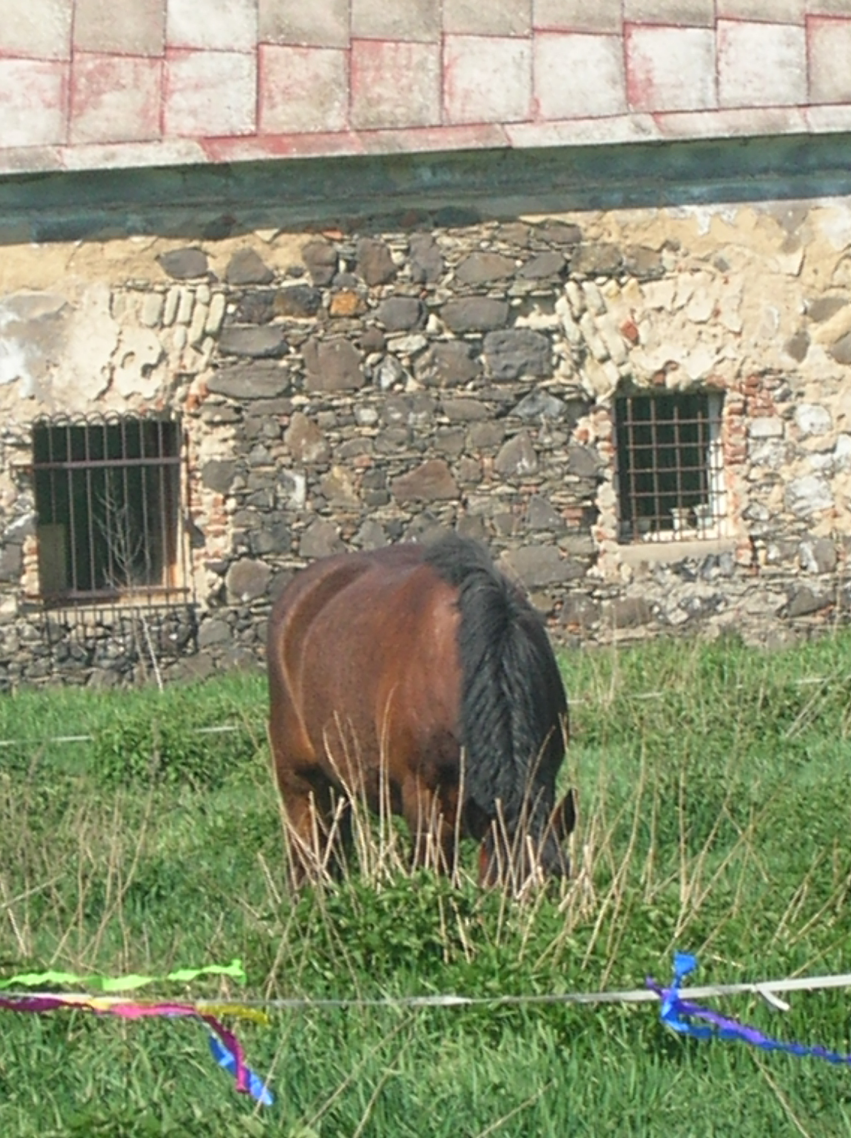 DSCN5562.JPG