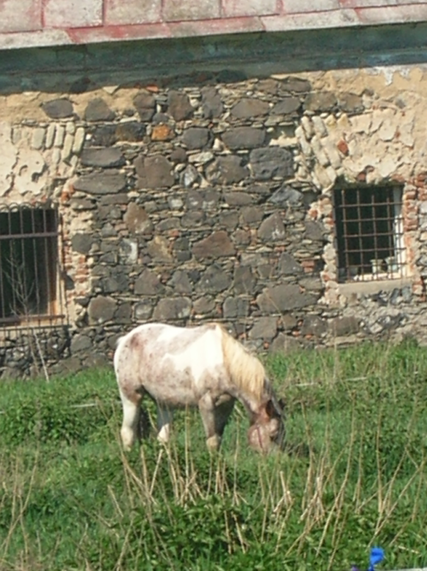 DSCN5563.JPG