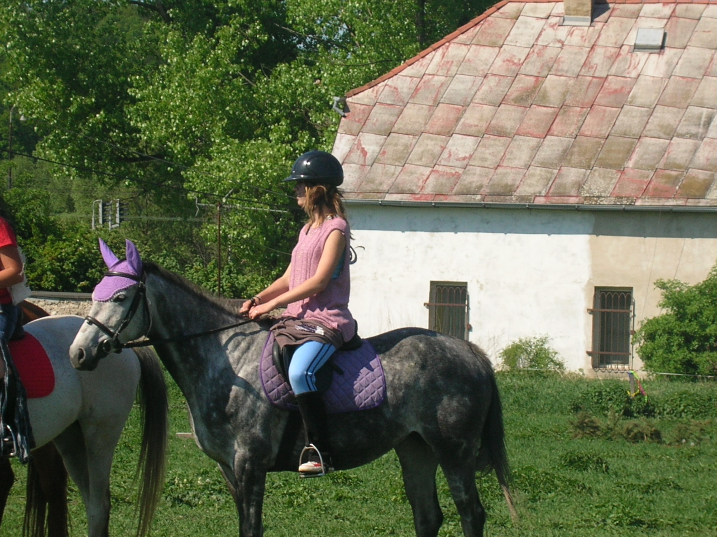 DSCN5564.JPG