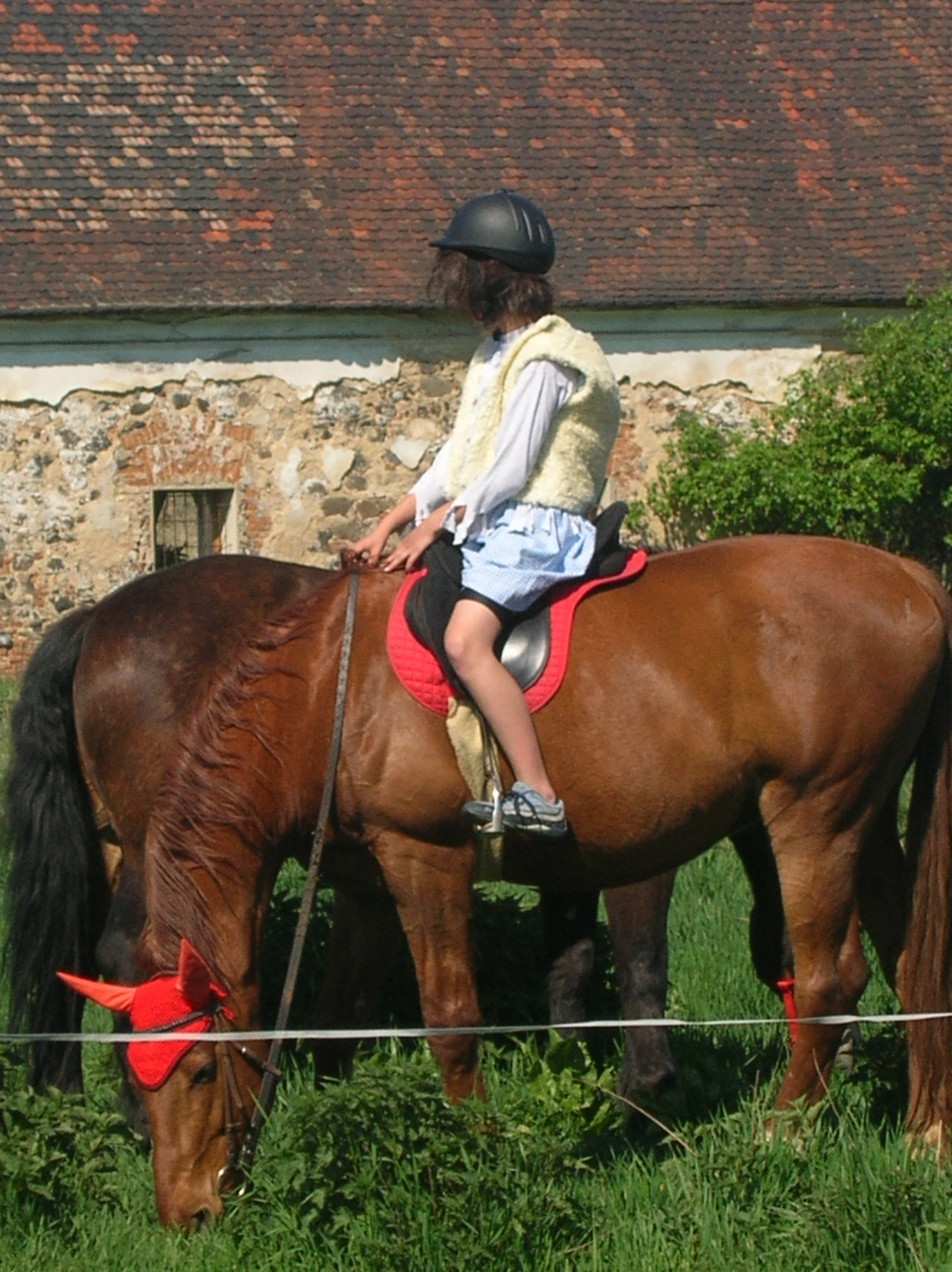 DSCN5569.JPG
