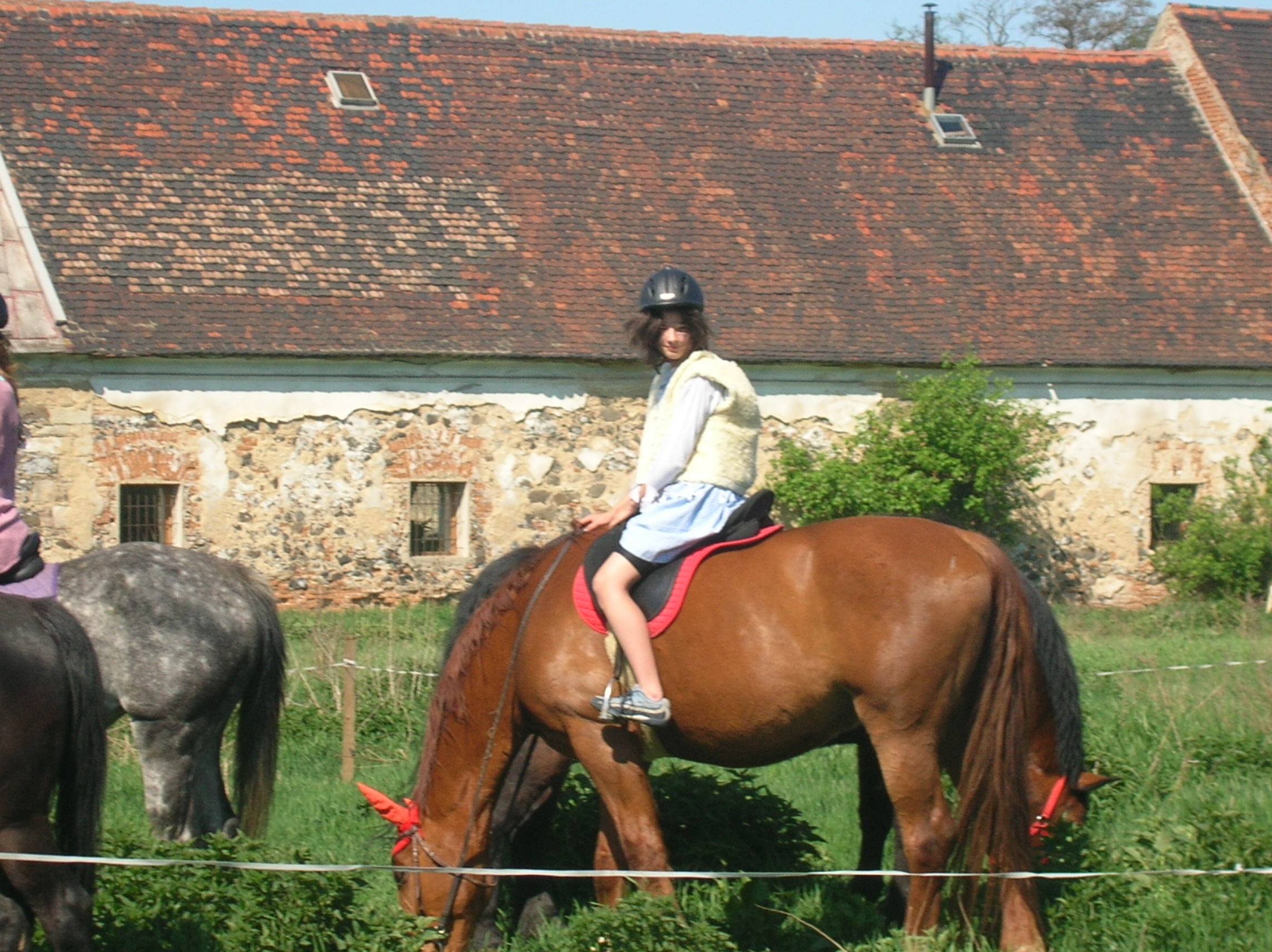 DSCN5570.JPG