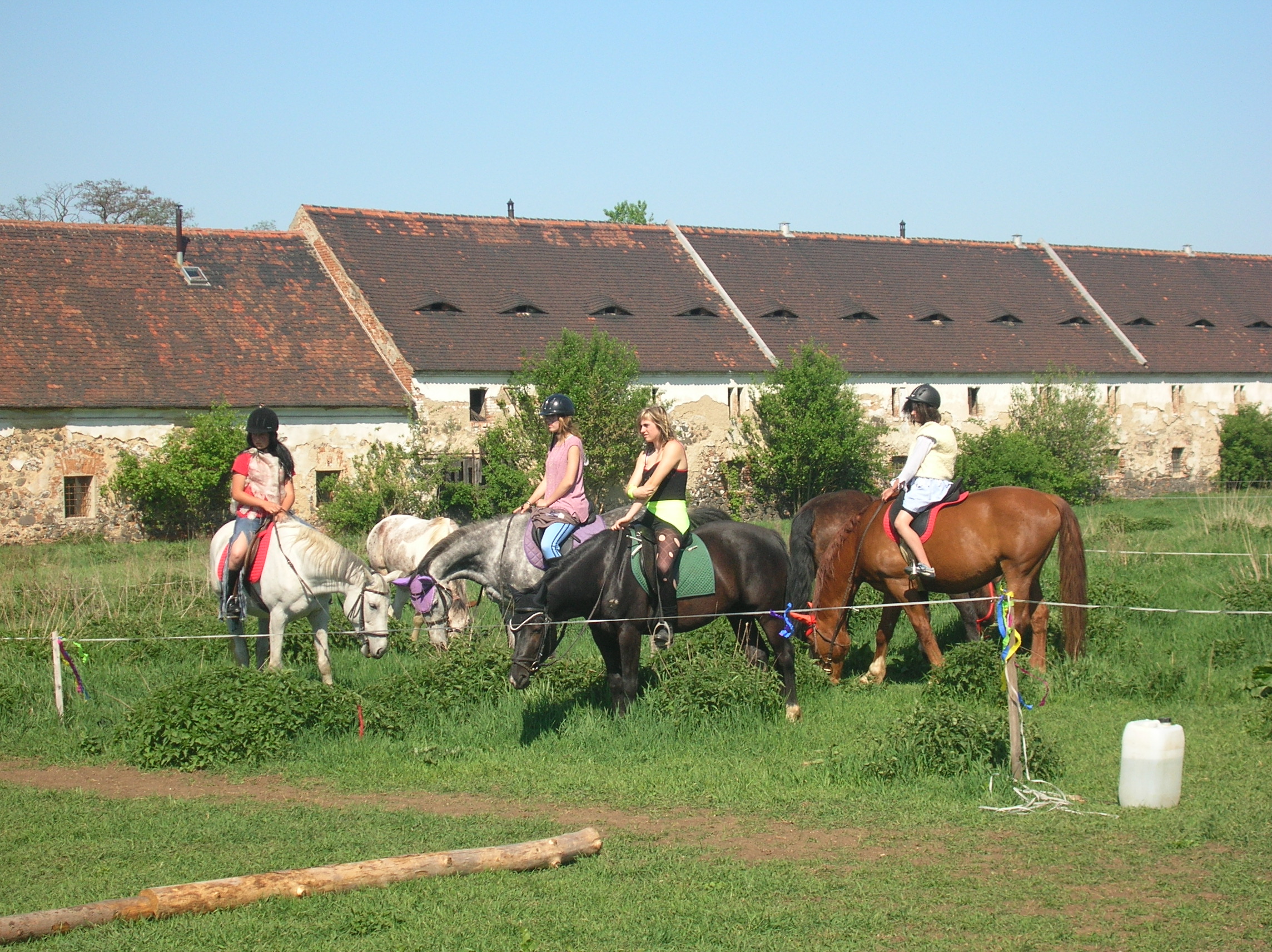 DSCN5571.JPG