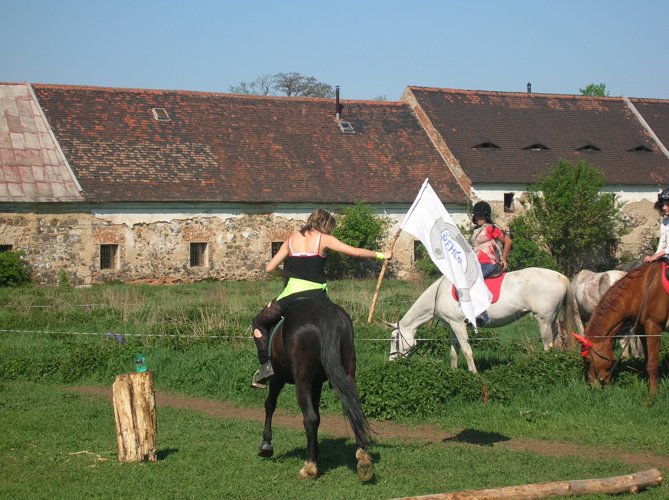 DSCN5573.JPG