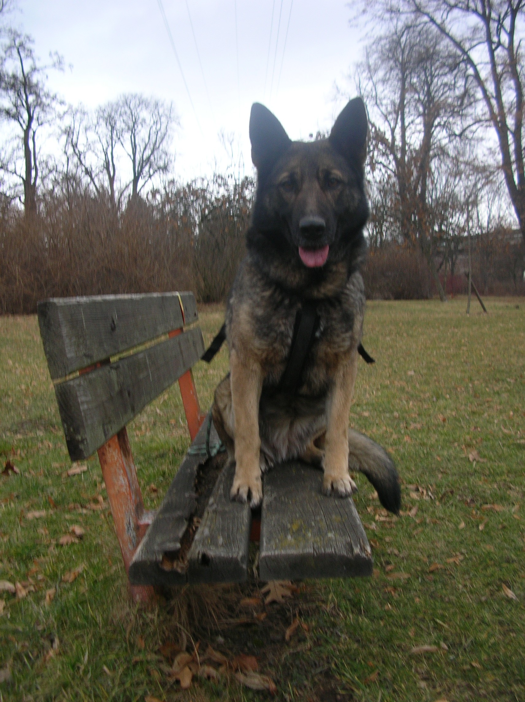 DSCN4936.jpg
