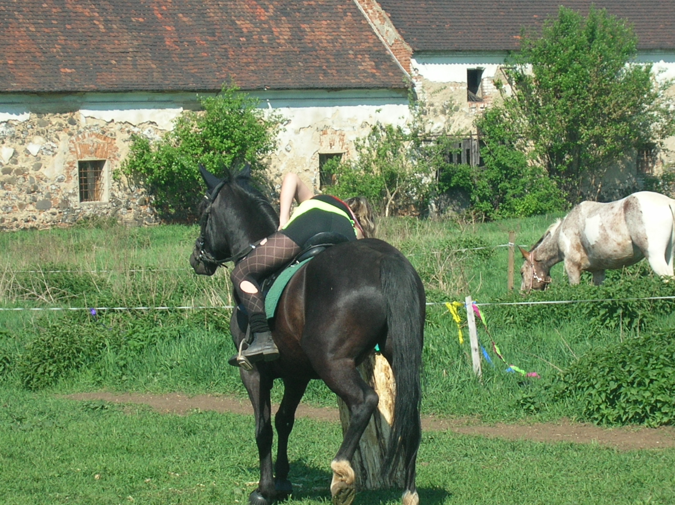 DSCN5578.JPG