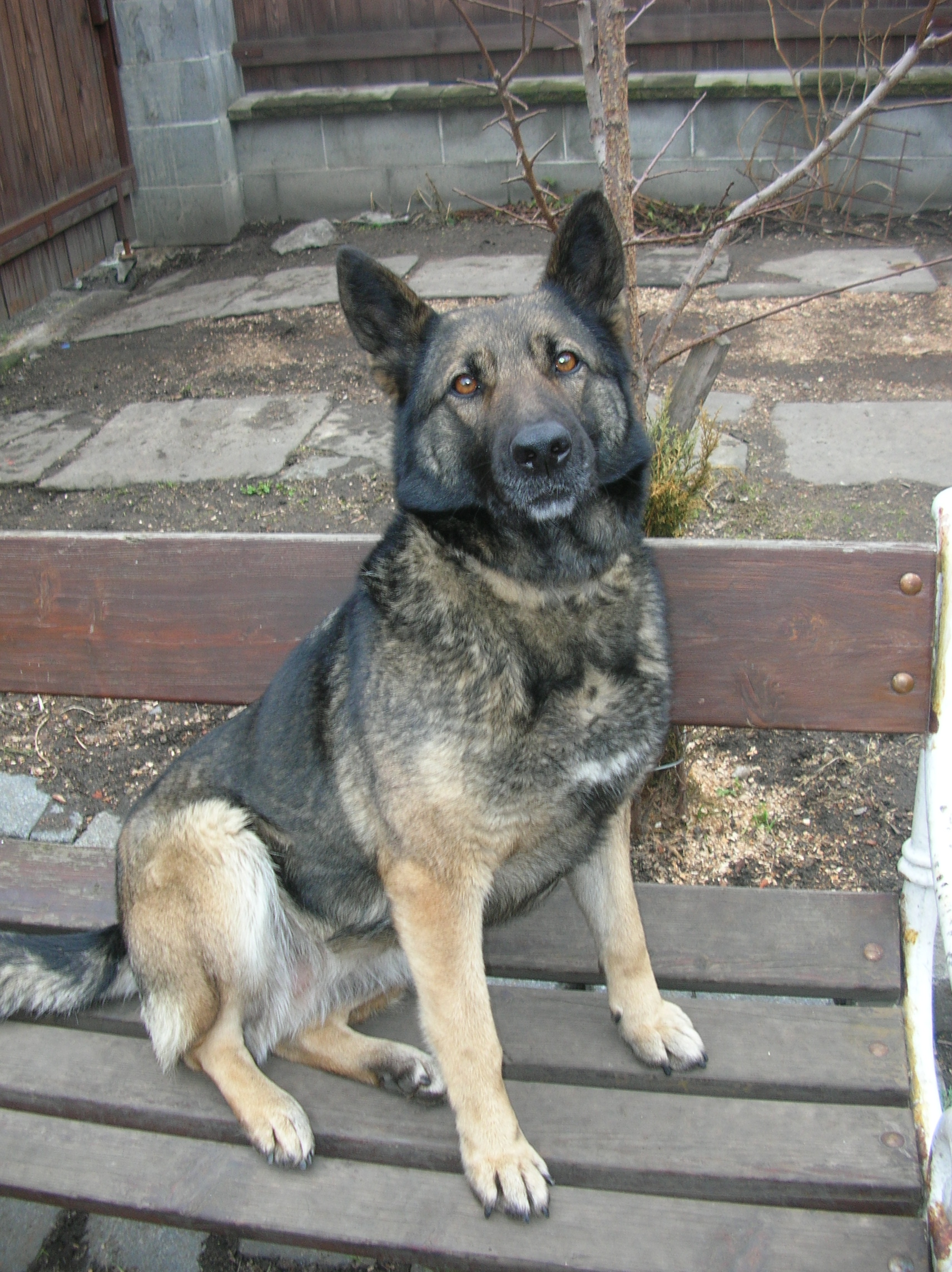 DSCN4950.JPG
