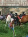 DSCN5542.JPG