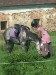 DSCN5544.JPG