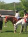 DSCN5557.JPG