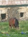 DSCN5562.JPG