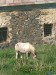 DSCN5563.JPG