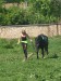 DSCN5580.JPG