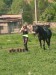 DSCN5581.JPG