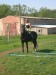 DSCN5584.JPG