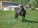 DSCN5585.JPG