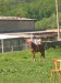 DSCN5595.JPG